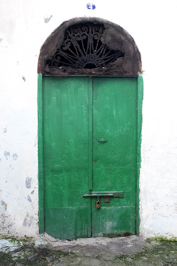 Photo 02778: Worn, green metal double door with latticed fan light