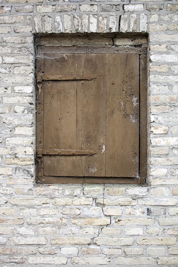 Photo 07387: Little, brown trapdoor