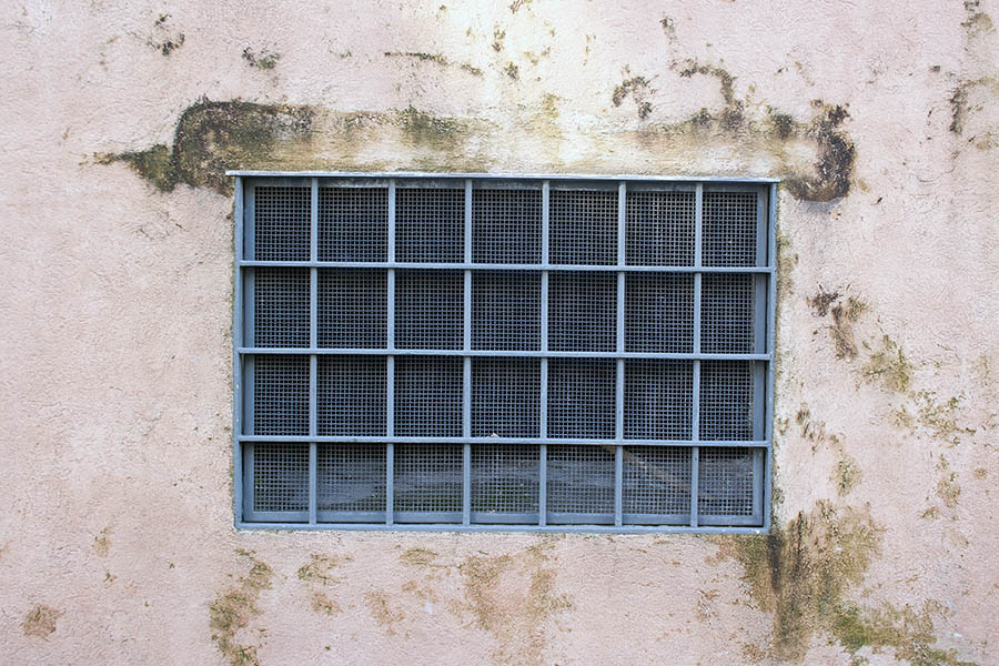 Photo 08171: Blue, barred window with wire net