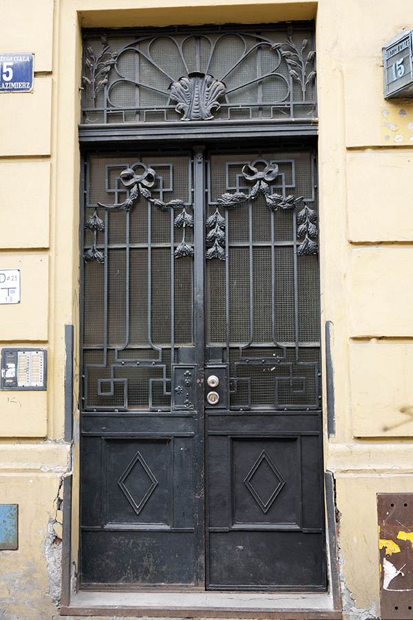 Photo 13699: Black metal double door with latticed top window and door lights