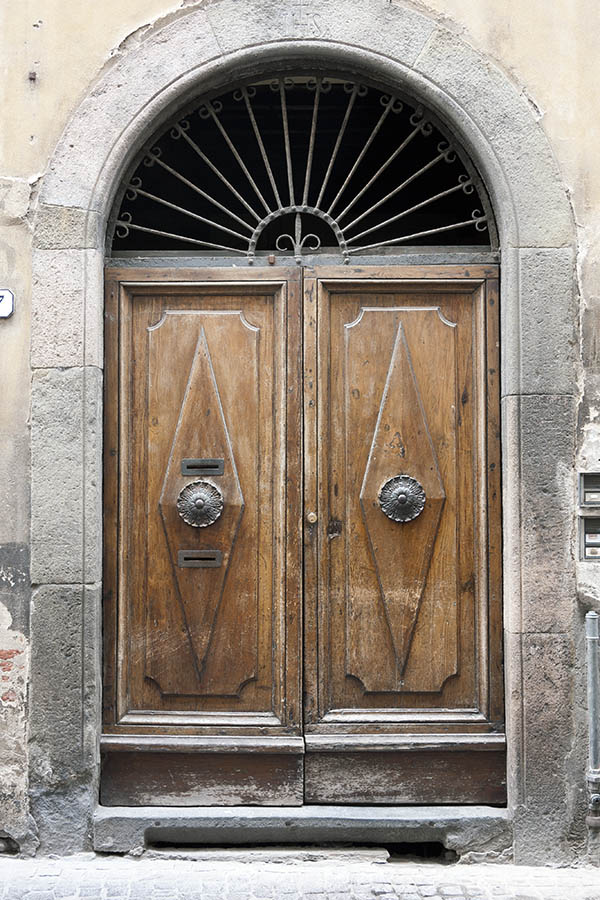 Photo 14991: Worn, panelled, brown double door with latticed fan light