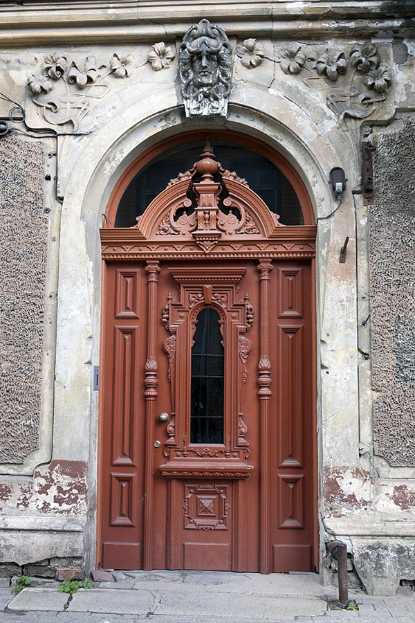 Photo 19723: Panelled, carved, brown door with sidepieces and fan light