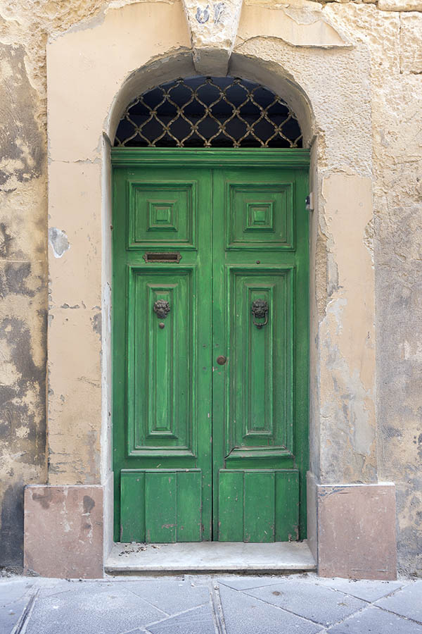 Photo 24261: Panelled, green double door with latticed fan light