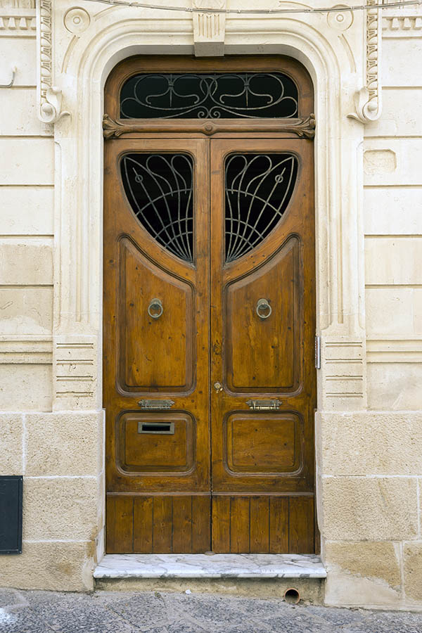 Photo 24339: Panelled, carved, formed, brown, lacquered double door in Art Nouveau style with latticed door light