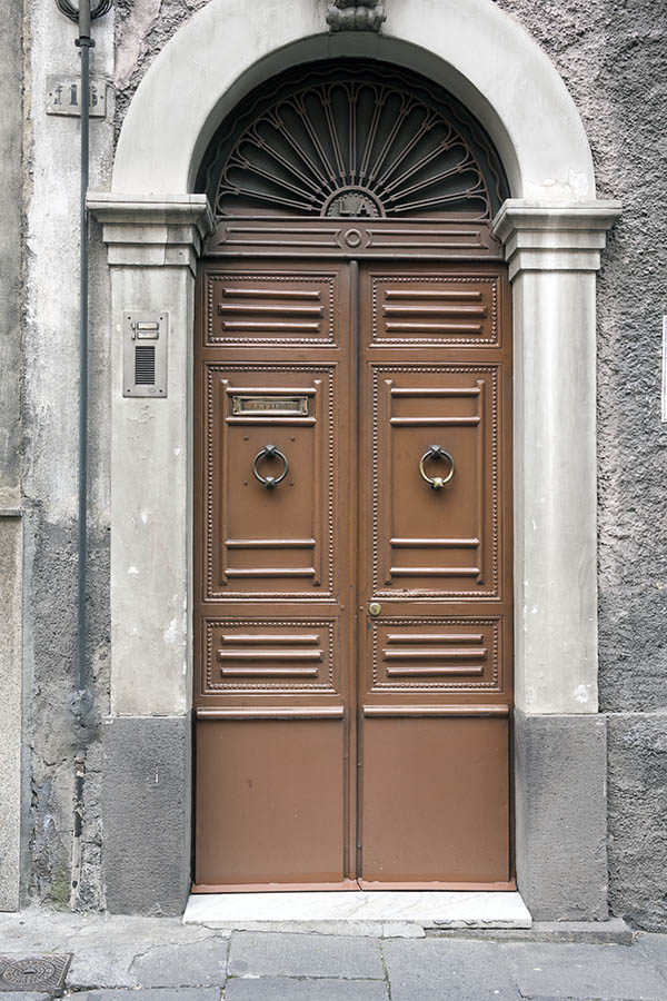 Photo 24729: Narrow, panelled, carved, brown double door with latticed fan light