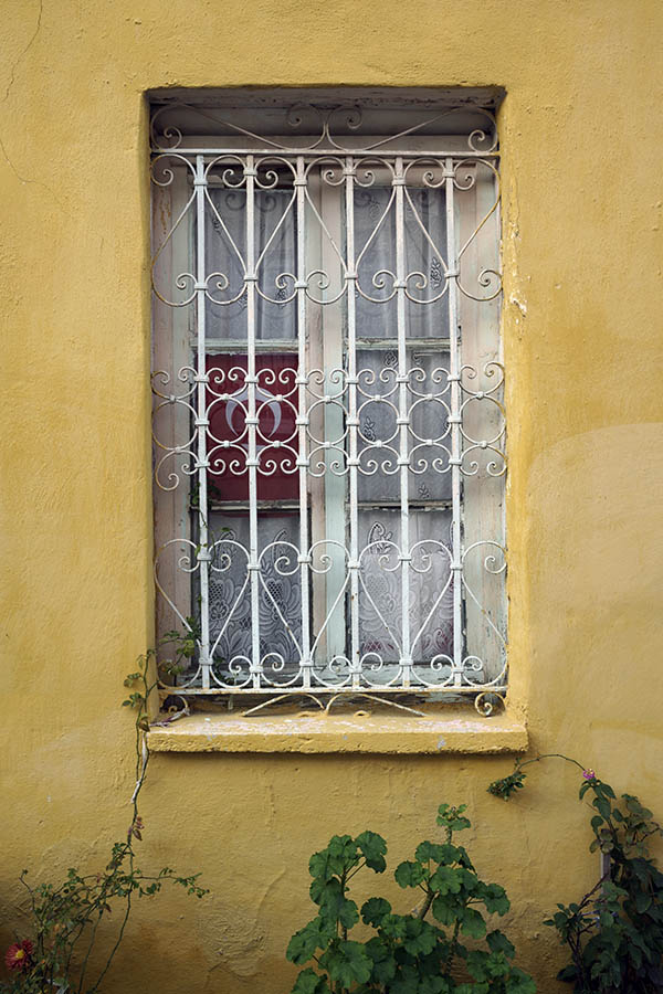 Photo 26546: White window with two frames and grating