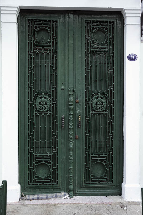 Photo 26558: Green metal double door with grating