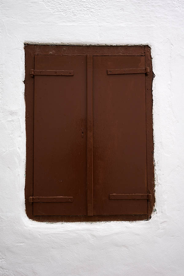 Photo 26743: Brown double trapdoor