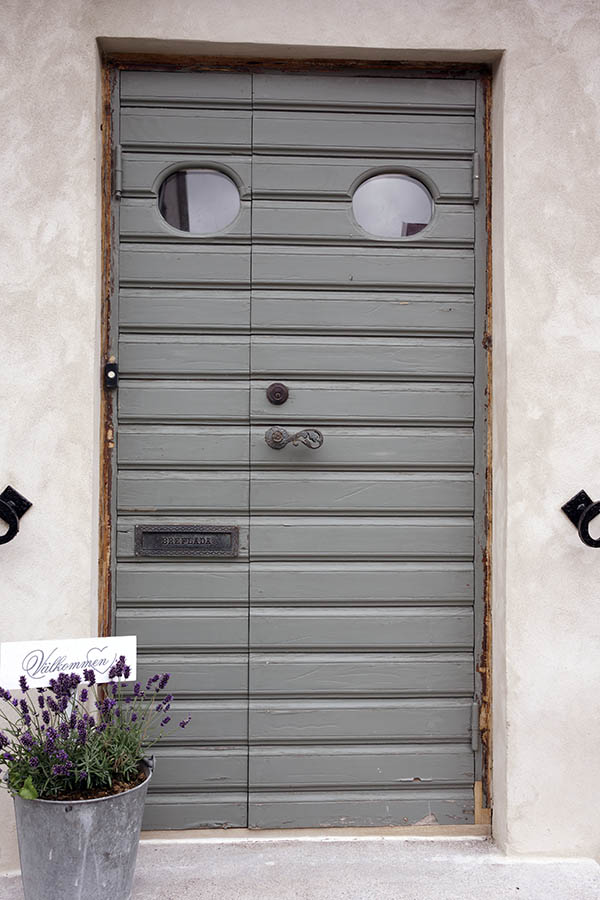 Photo 27099: Grey door of boards with sidepiece and oval door lights