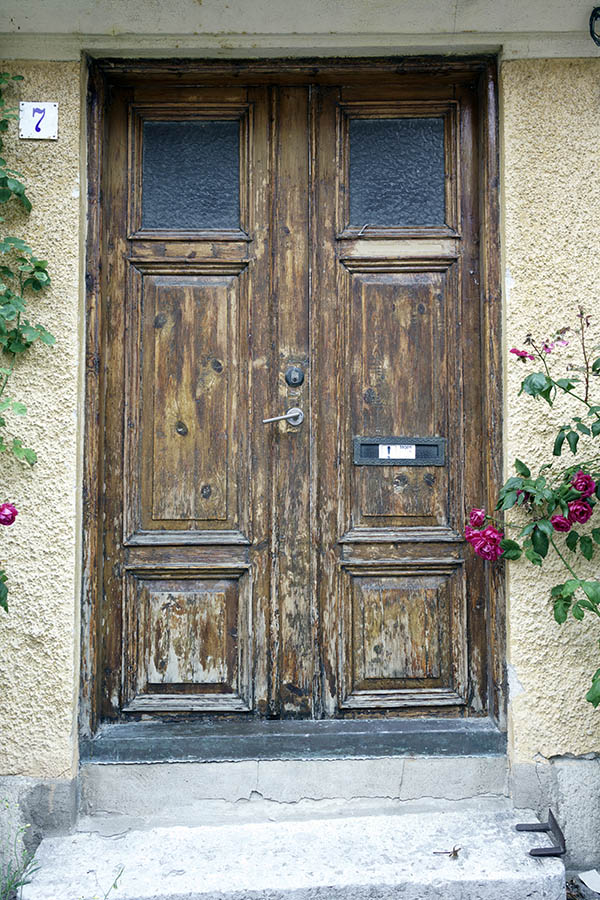Photo 27131: Worn, unpainted, panelled double door with door lights