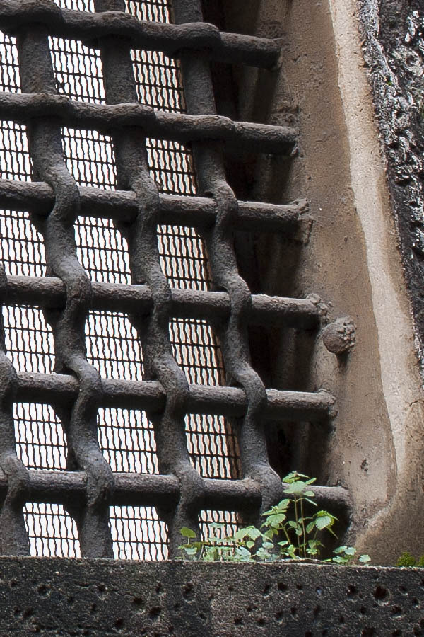Photo 07998: Barred, brown window with wire net