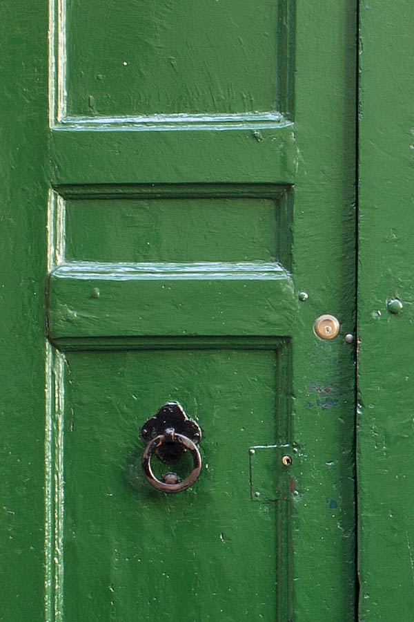 Photo 08103: Panelled, green double door with pilaster