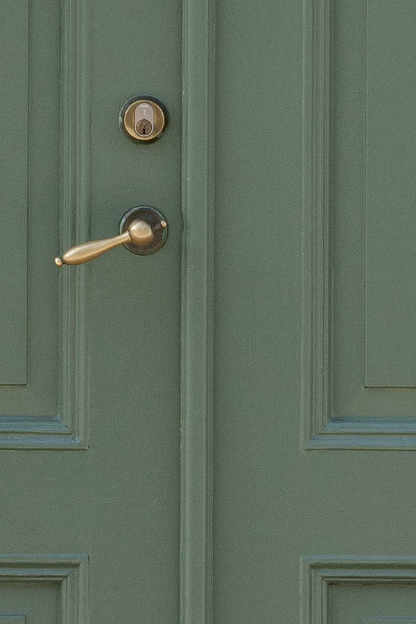 Photo 10206: Panelled, green double door