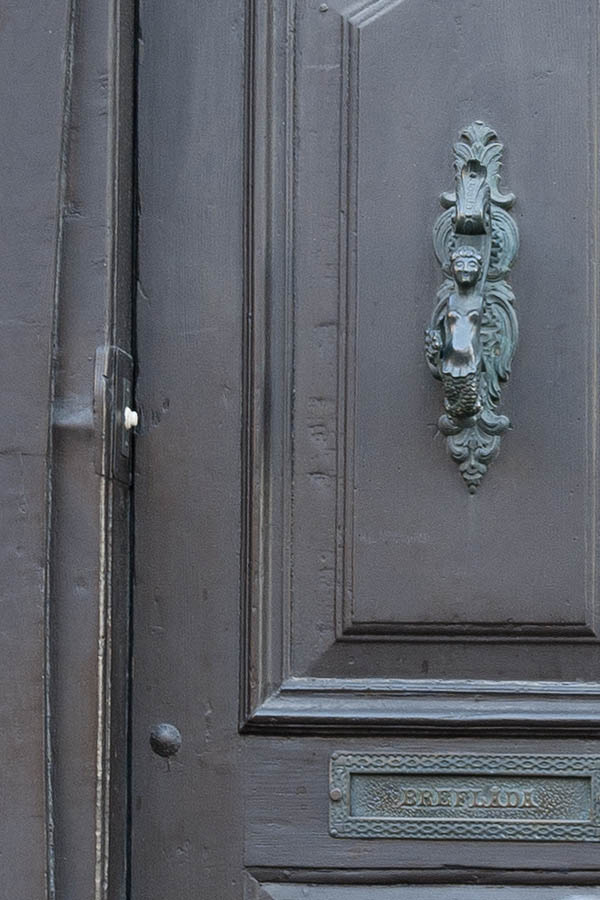 Photo 10405: Carved, panelled, brown double door in baroque style with top window
