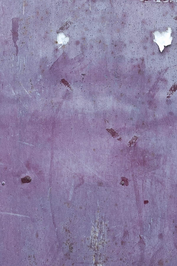 Photo 14624: Purple metal plate door with latticed door light