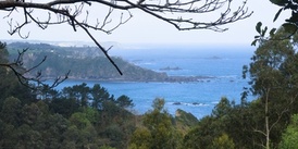 Camino Norte
