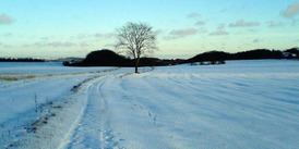 &Oslash;stjyske landskaber