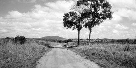 Luangwa National Park