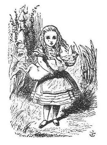 Alice and piglet