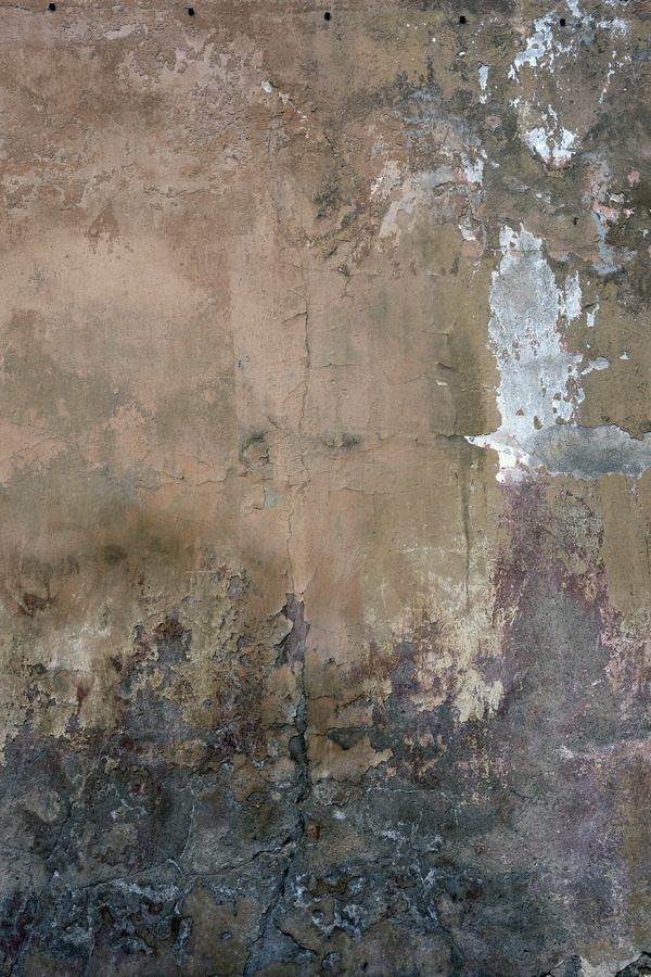 Photo 19212: Worn, brown and black, plastered wall