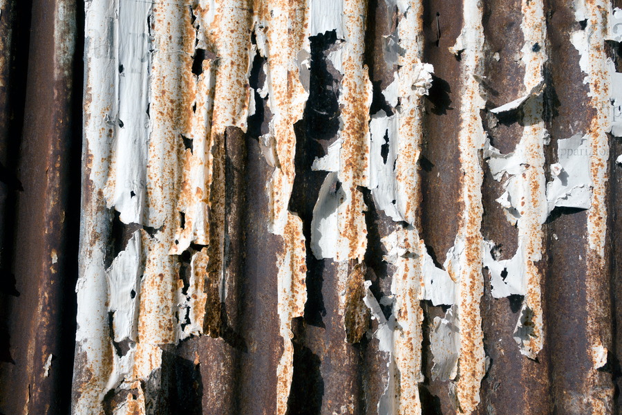 Photo 24439: Decayed white and rusty wall of corrugated iron