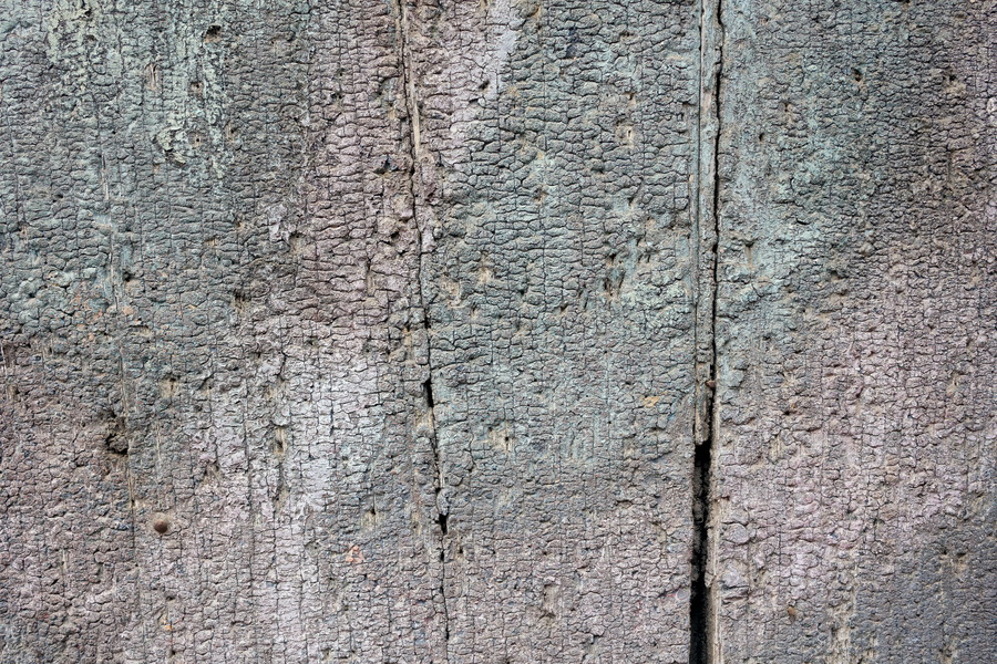 Photo 24476: Decayed wall of planks with light green and pink colours