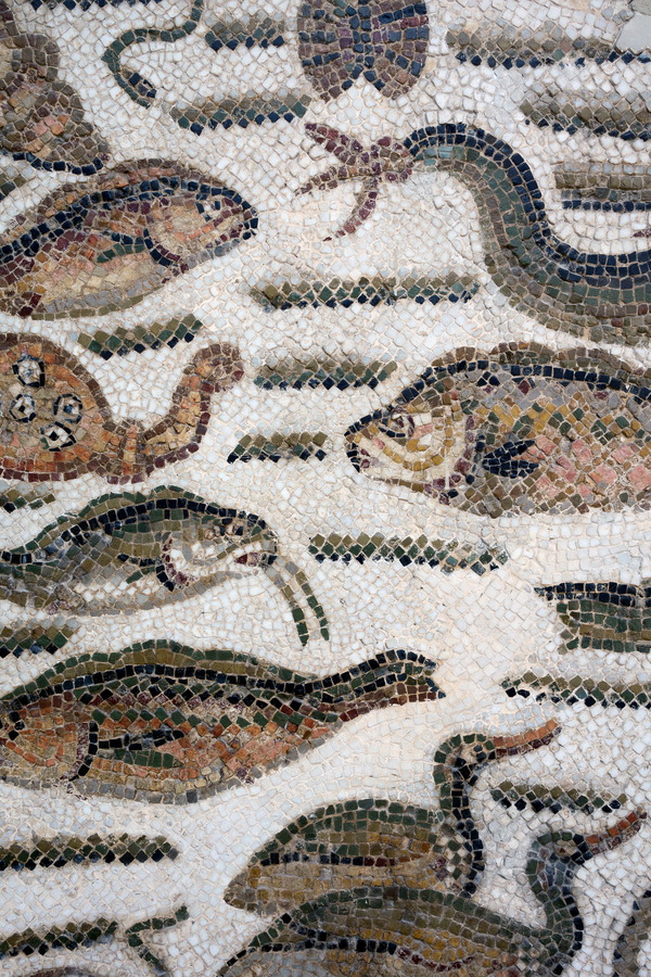 Photo 24523: Wall with fish mosaic in brown, red, yellow, black and white