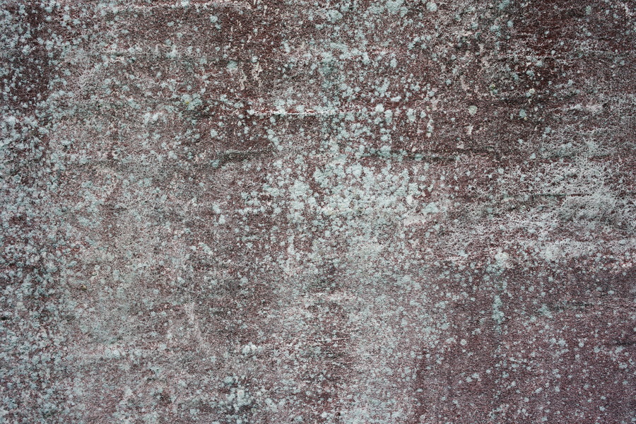 Photo 25143: Worn, dark red wall with light grey  moss