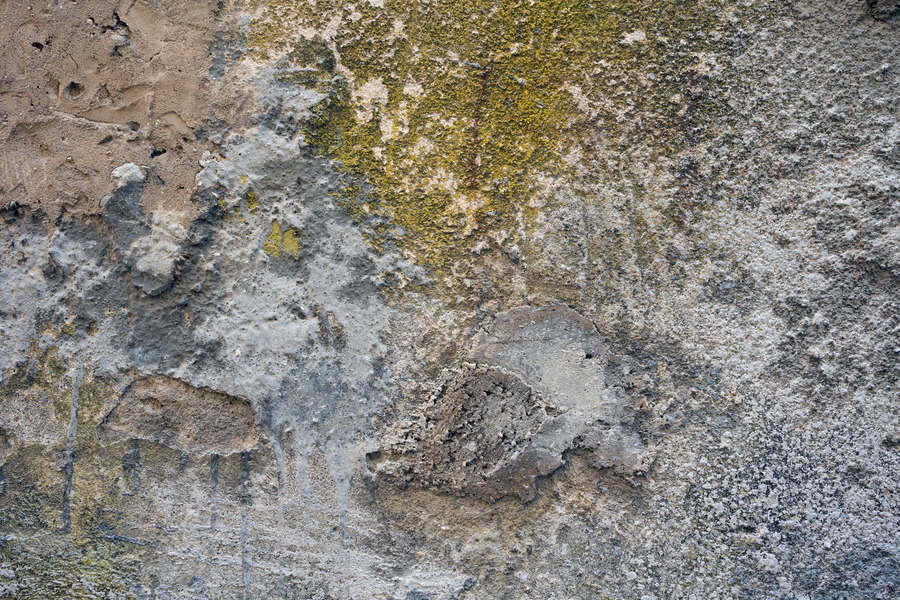 Photo 26257: Decayed, plastered wall in grey, green and light brown colours