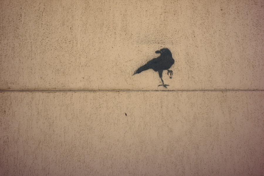 Photo 27410: Yellow, plastered wall with grafitti: A black bird