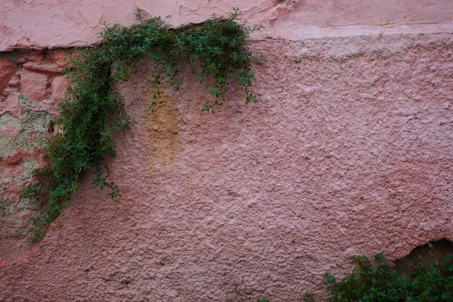 Photo 27421: Decayed, pink, plastered wall