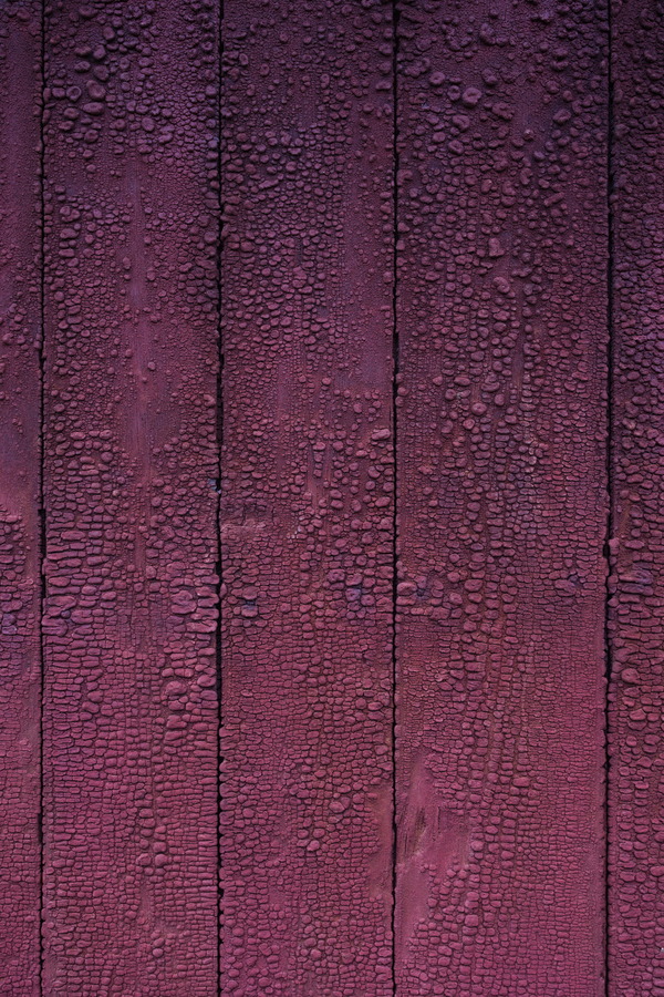 Photo 27496: Purple, tarred board wall