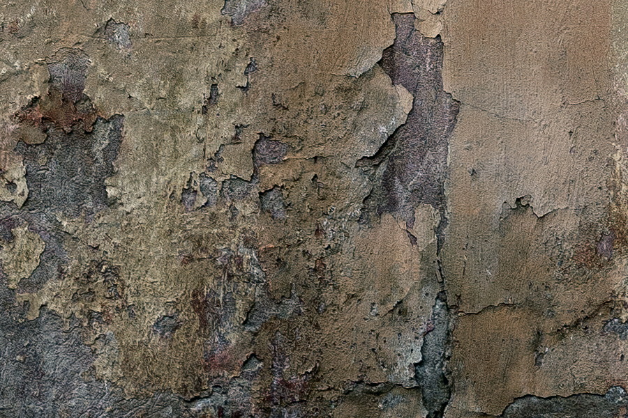 Photo 19212: Worn, brown and black, plastered wall