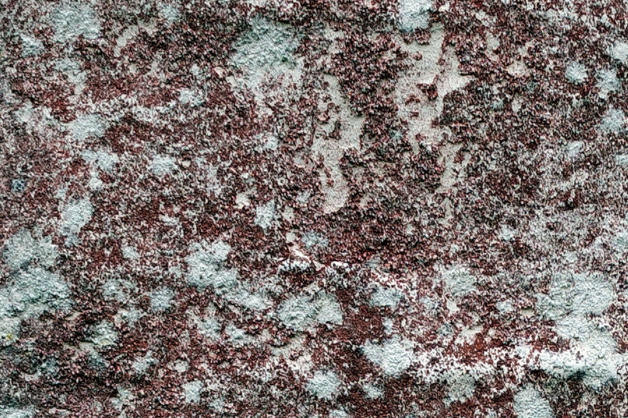 Photo 25143: Worn, dark red wall with light grey  moss