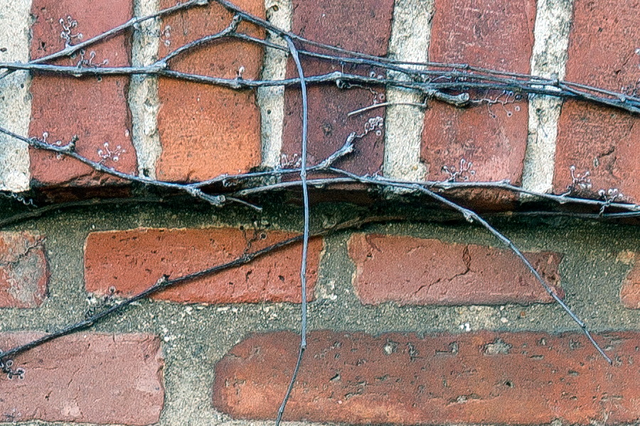 Photo 25289: Red brick wall with portal and indentation