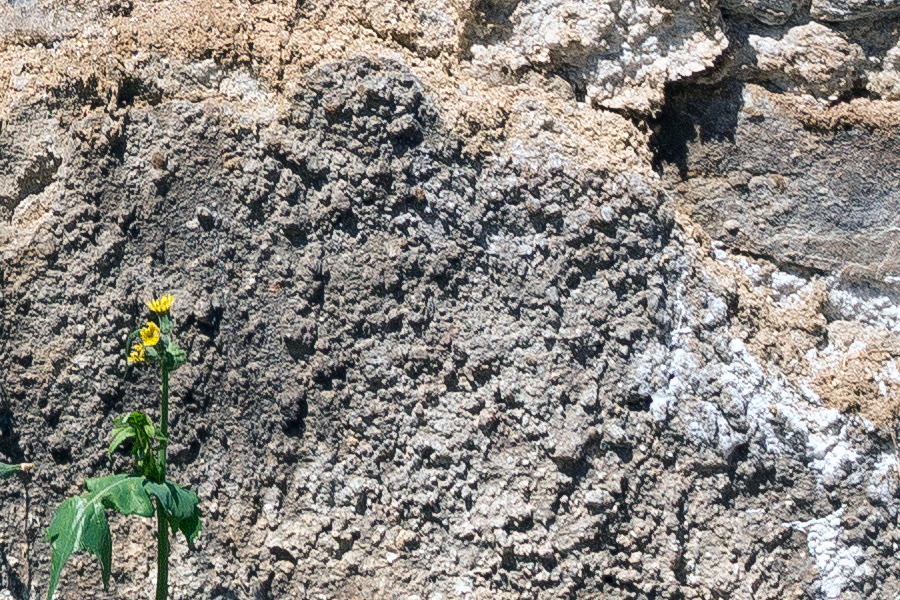 Photo 25459: Decayed, grey, plastered wall