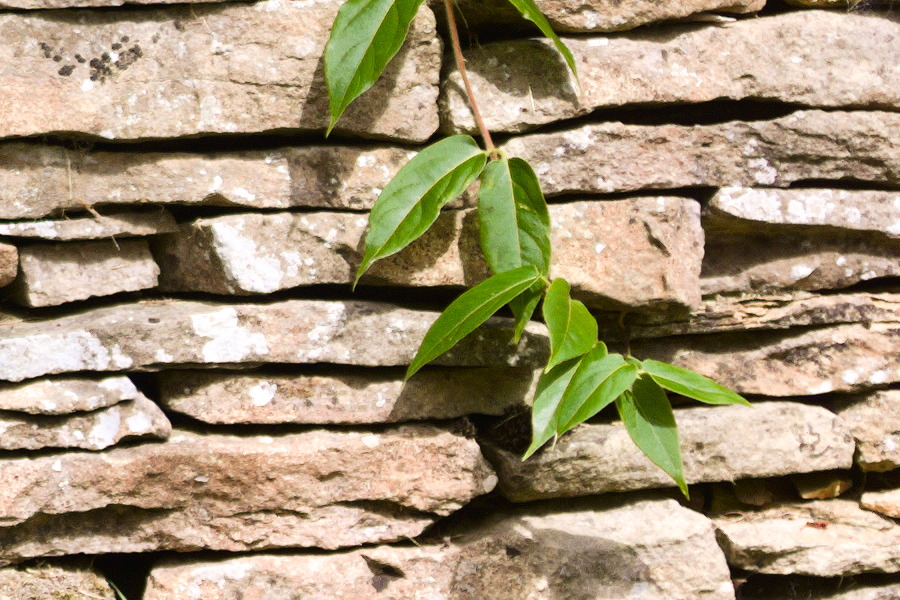 Photo 27399: Curvy, grey stone wall