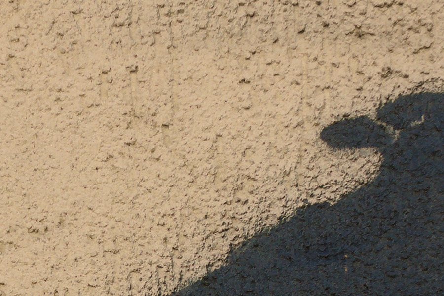 Photo 27410: Yellow, plastered wall with grafitti: A black bird