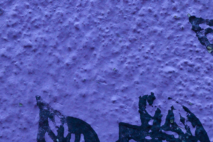 Photo 27427: Violet plastered wall with black flower symbols